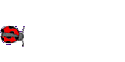 bug 